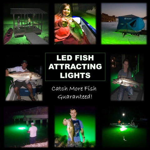  Fishing Light, Uses High Brightness LED, Underwater Fishing  Light, LED Fishing Light, Attracts Fish, Underwater Light, For Night Fishing,  White, Red, Blue, Green, Rainbow : Sports & Outdoors